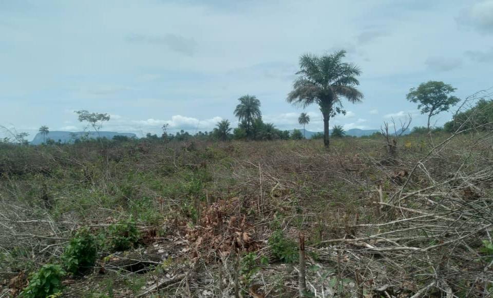VENTE DE CENT PARCELLES.